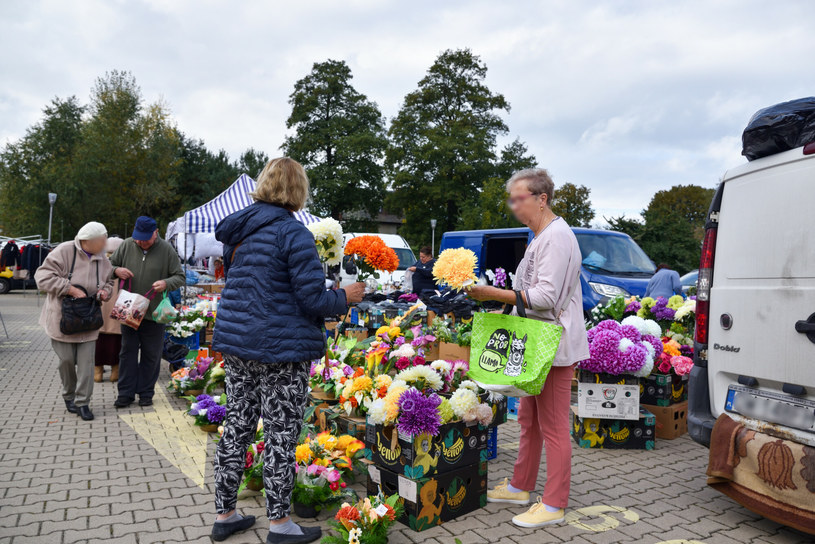 Ceny kwiatów na cmentarz w 2022 wzrosły, podobnie jak ceny zniczy /Bartlomiej Magierowski /East News