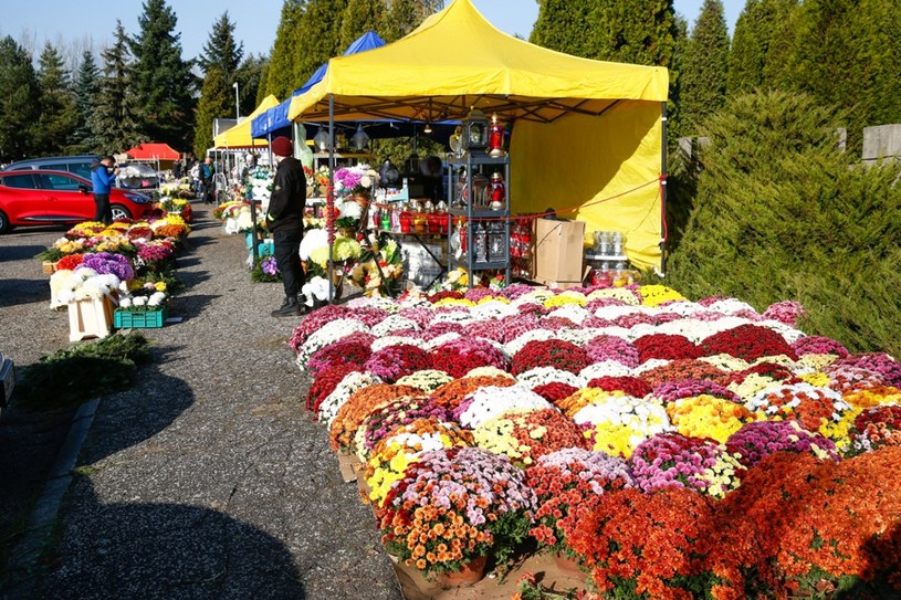 Ceny kwiatów w hurcie są zróżnicowane w zależności od odmiany i wielkości kwiatów /Tomasz Kawka /East News