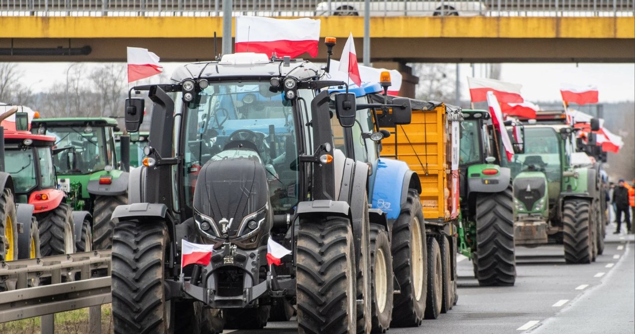 Ceny maszyn rolniczych są niezwykle wysokie /NewsLubuski /East News