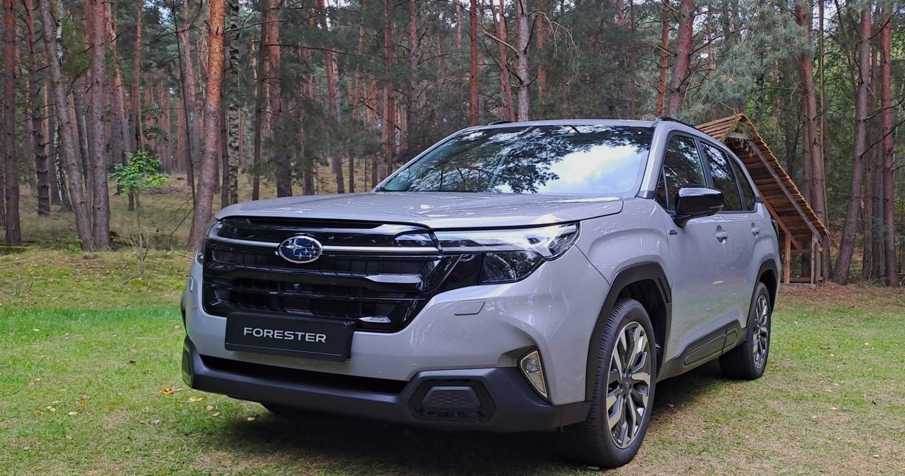 Ceny nowego Subaru Forestera nie są jeszcze znane. /Maciej Olesiuk /INTERIA.PL