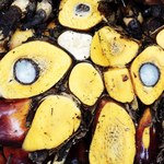 Ceny oleju palmowego poszybują. Powodem decyzja Indonezji
