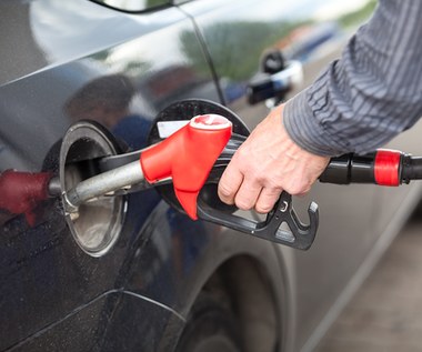 Ceny paliw, energii i gazu. Czy państwo powinno je regulować? 