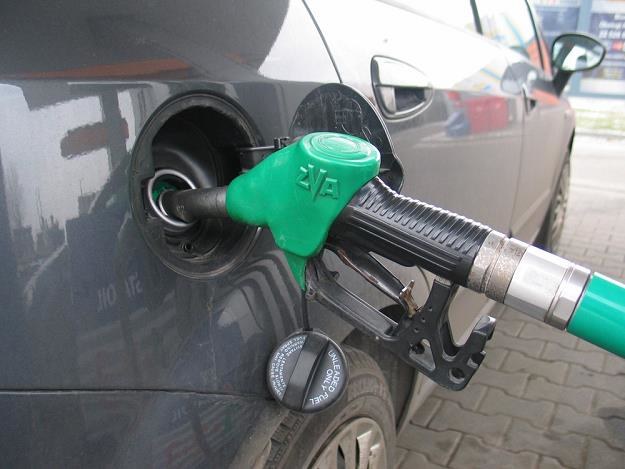 Ceny paliw idą w górę / Fot: Adrian Slazok /Reporter