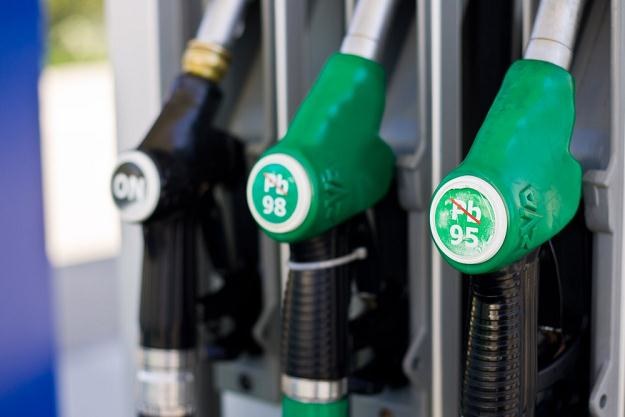 Ceny paliw są najniższe od ośmu miesięcy / Fot: Paweł Jaskółka /Reporter