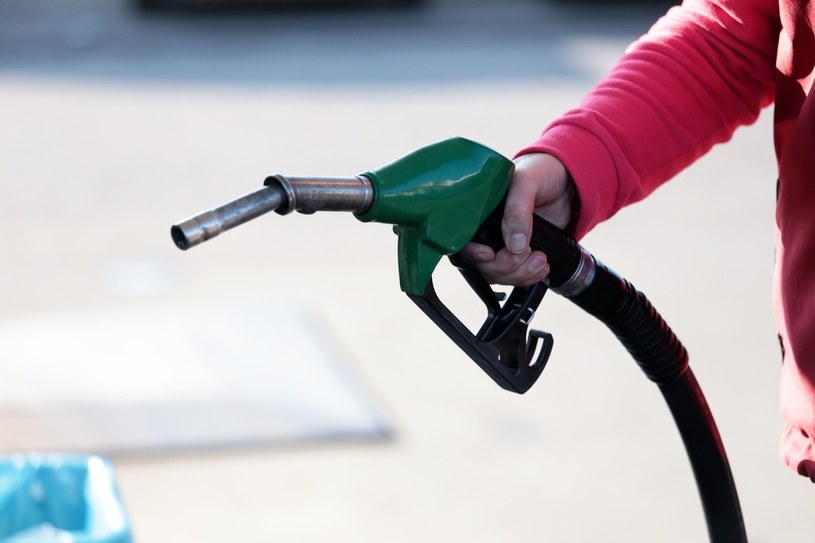 Ceny paliw są stabilne /Piotr Jędzura /Reporter
