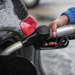 Ceny paliw znowu rosną. 8 złotych na stacjach już w tym tygodniu