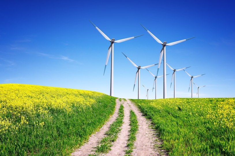 Ceny prądu z lądowych farm wiatrowych wahają się w granicach 150-200 zł za megawatogodzinę /123RF/PICSEL
