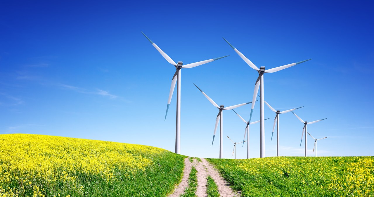 Ceny prądu z lądowych farm wiatrowych wahają się w granicach 150-200 zł za megawatogodzinę /123RF/PICSEL