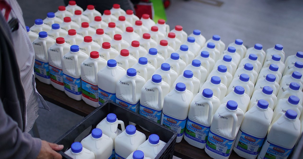 Ceny produktów 
mlecznych silnie 
rosną /AFP