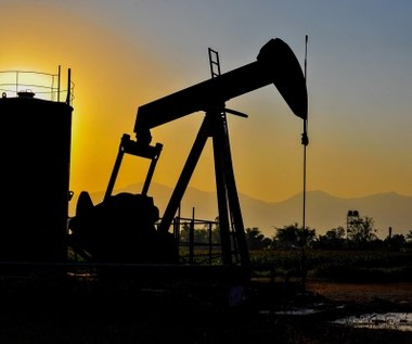 Ceny ropy spadają po decyzji OPEC. Kartel producentów podjął decyzję