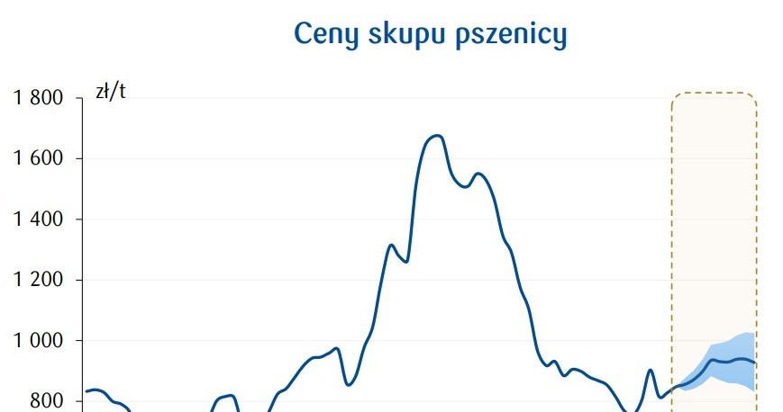 Ceny skupu pszenicy. /PKO BP /PKO Bank Polski S.A.