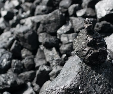 Los precios del carbón en Europa son los más altos en cinco meses tras las sanciones contra Rusia