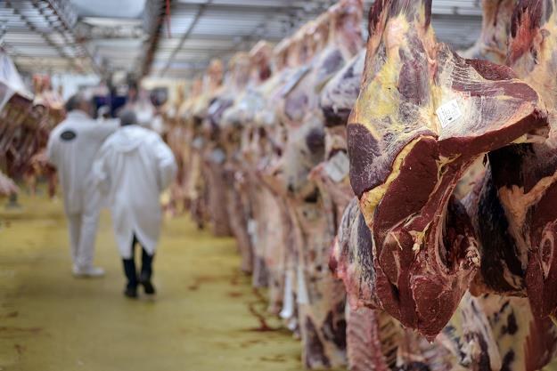 Ceny wołowiny spadły już o 15 proc. /AFP