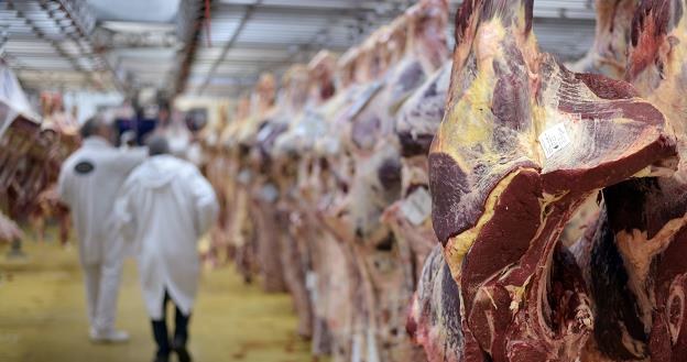 Ceny wołowiny spadły już o 15 proc. /AFP