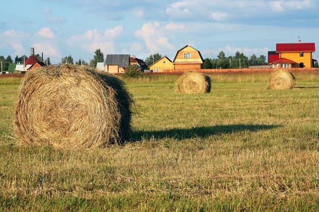 Ceny ziemi rolnej od wejścia Polski do UE zdrożały o ponad 400 proc. /&copy;123RF/PICSEL