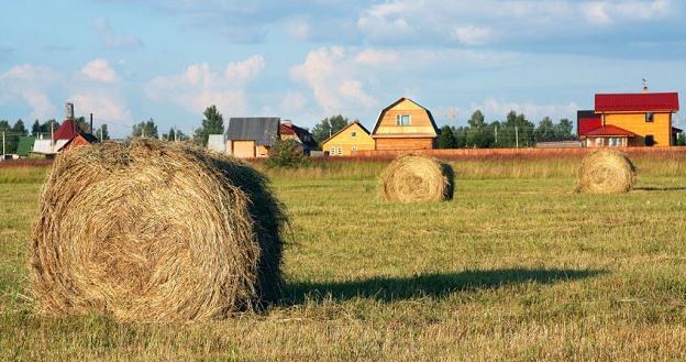 Ceny ziemi rolnej od wejścia Polski do UE zdrożały o ponad 400 proc. /&copy;123RF/PICSEL