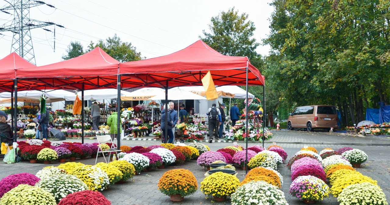 Ceny zniczy i kwiatów różnią się w zależności od stanowiska przy cmentarzu /Bartlomiej Magierowski/East News /East News