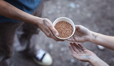 Ceny żywności mogą jeszcze rosnąć. Napaść Rosji na Ukrainę to ryzyko głodu na świecie