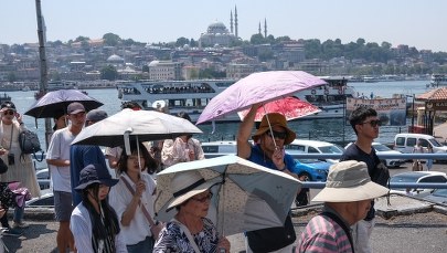 Cerber atakuje. Jak przygotować się do upałów? [PORADNIK]