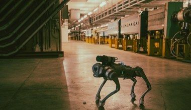 CERN skonstruował robo-psa. Może pracować w miejscach napromieniowanych