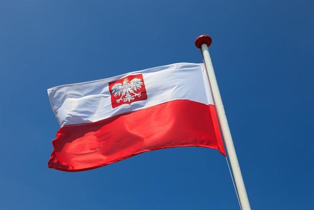 Certyfikat Polski Ślad promuje patriotyzm gospodarczy /&copy;123RF/PICSEL