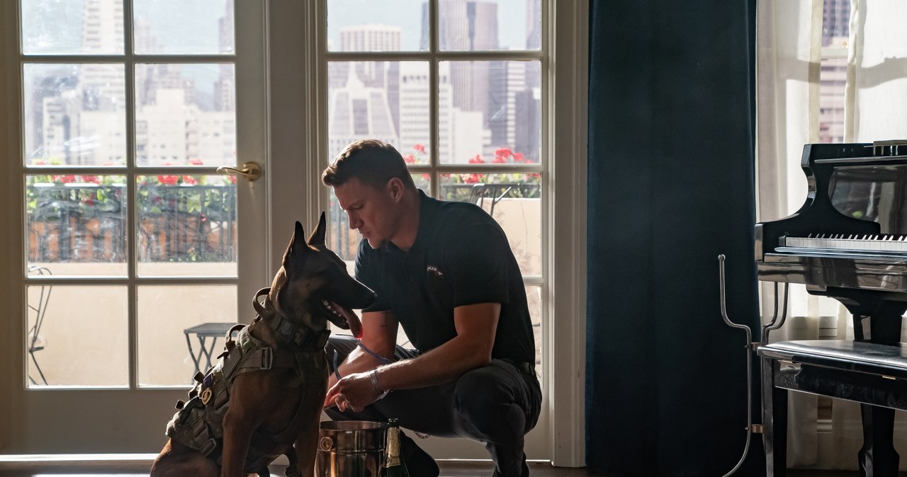 Channing Tatum w filmie "Pies" /materiały prasowe