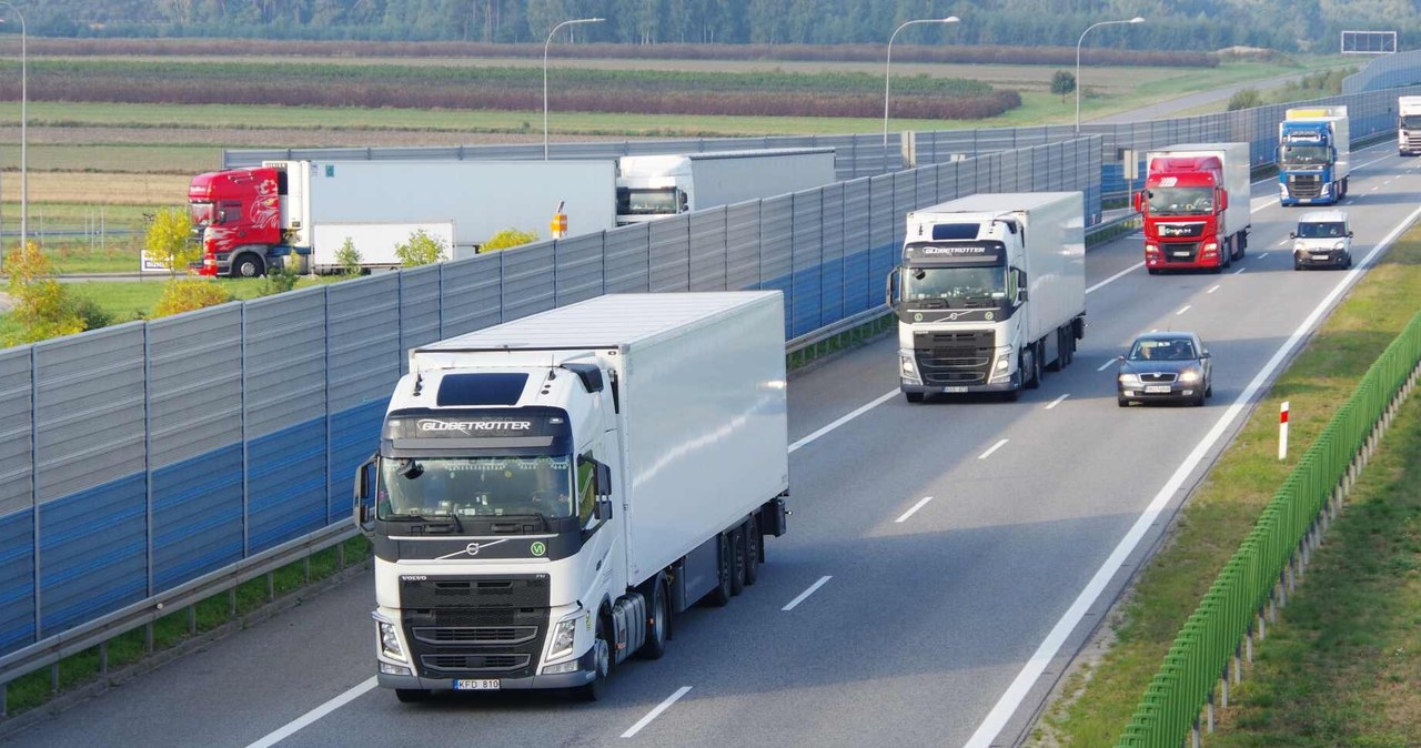 Chaos w branży transportowej. Wzrosną koszty działalności firm /Marek Bazak /East News