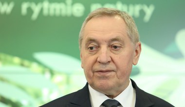 Chaos w związku z Polskim Ładem. Wicepremier: Każdy myślał, że jakoś to będzie