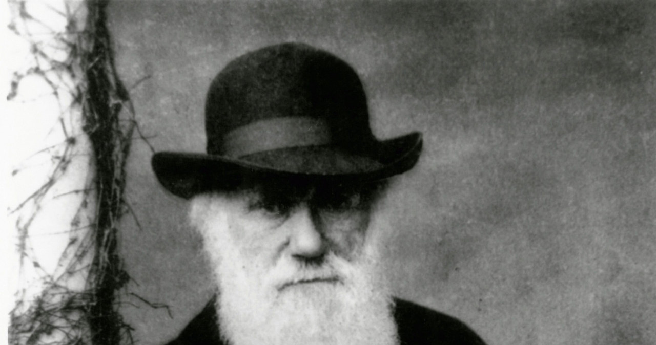 Charles Robert Darwin brytyjski przyrodnik i geolog, twórca teorii ewolucji /East News