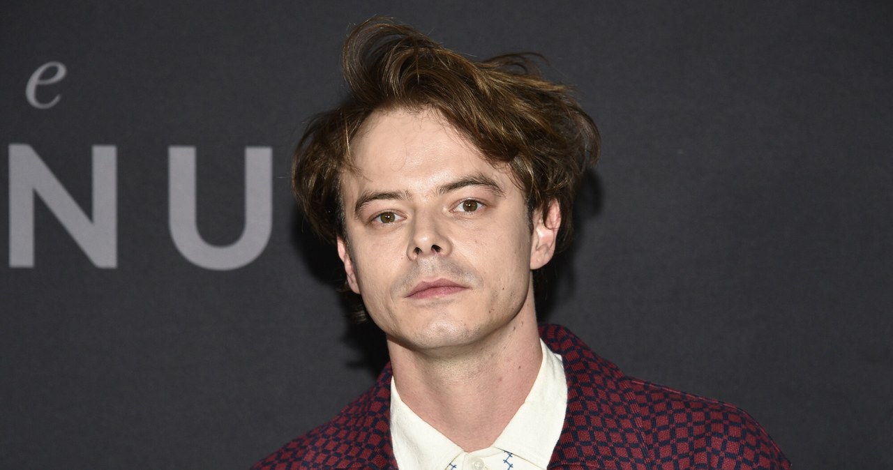 Charlie Heaton /Evan Agostini /East News