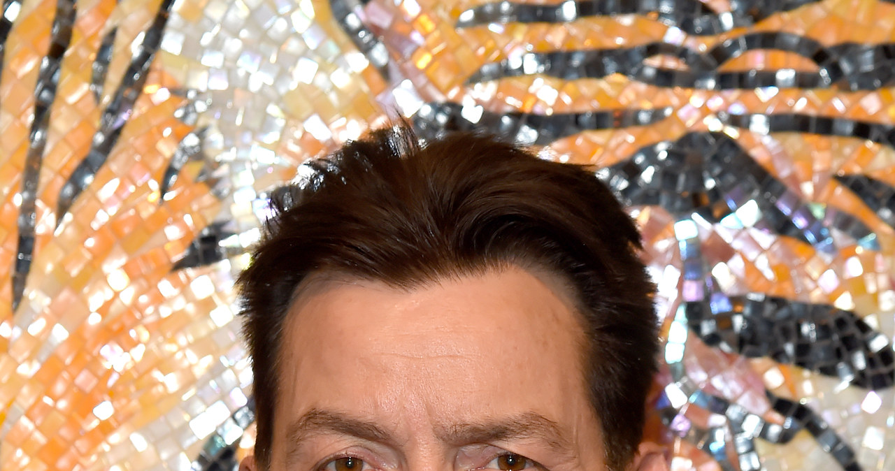 Charlie Sheen przyznał, że tęskni za aktorstwem /Dave M. Benett /Getty Images