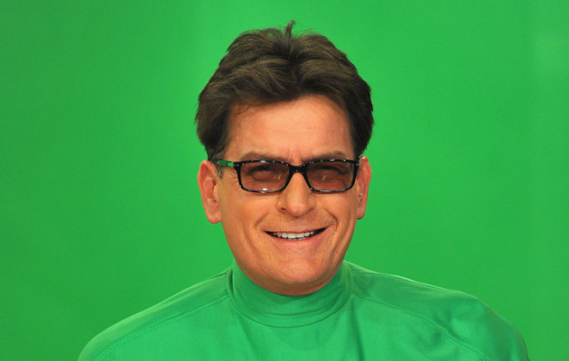 Charlie Sheen znów jest singlem /Theo Wargo /Getty Images