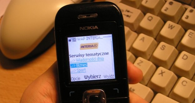 Charytatywne SMS-y są jedną z form zbierania pieniędzy przez organizacje dobroczynne /INTERIA.PL