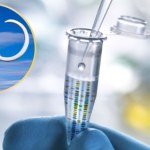 Chcą przywrócić do życia mamuta. Właśnie kupili firmę klonującą psy gwiazd