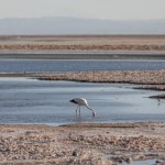 Chcą wydobywać ekologiczny skarb. Jest ryzyko, że zabraknie wody