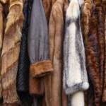 moda Chcą zakazu w całej UE. Na futrach wyświetlili nagrania