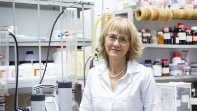 Chcemy, by Słońce napędzało jak największą liczbę potrzebnych nam reakcji chemicznych