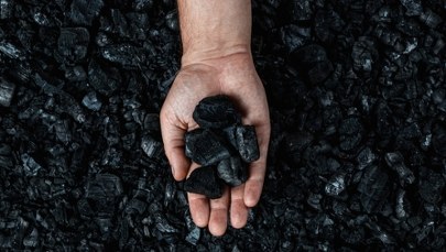 Chcesz kupić węgiel? Od czwartku duże zmiany w e-sklepie PGG