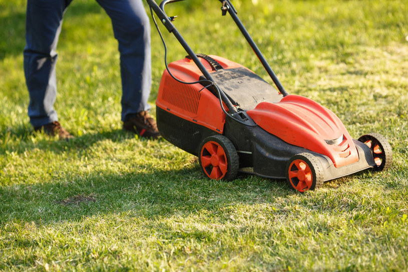 Chcesz mieć latem piękny trawnik? Przemyśl wiosenne nawożenie murawy! /123RF/PICSEL