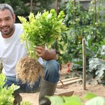 Chcesz pozbyć się piwnego brzuszka? Zajmij się... ogrodem!