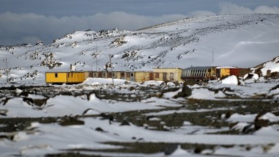 Chcesz pracować na Antarktyce? Sprawdź, kogo szuka polska stacja