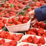 Chcesz sprawdzić, czy truskawki były pryskane? To prostsze niż myślisz, zwróć uwagę na 1 rzecz 