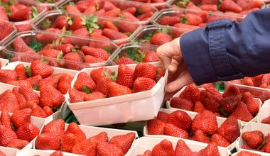Chcesz sprawdzić, czy truskawki były pryskane? To prostsze niż myślisz, zwróć uwagę na 1 rzecz 