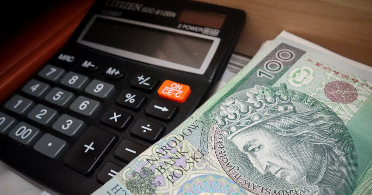 Chcesz sprawdzić swoją pensję po obniżce podatków? MF udostępnił kalkulator /Piotr Kamionka /Reporter