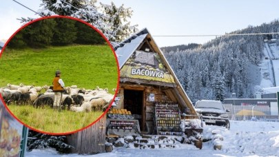 Chcesz zostać bacą lub juhasem? Ruszył nabór na wyjątkowe kursy w Małopolsce