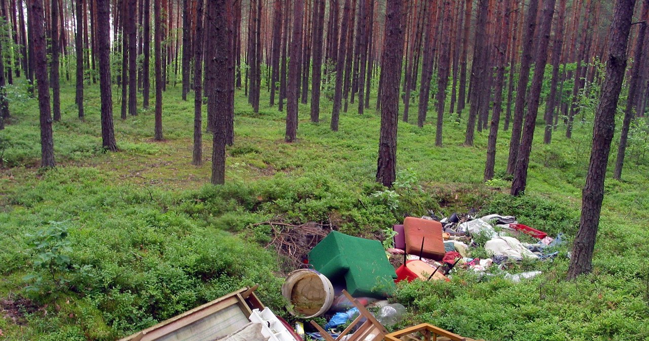 Chciał oszczędzić i wywiózł śmieci do lasu. Zapłaci dużo więcej /Włodzimierz Wasyluk /Agencja FORUM