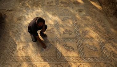 Chciał posadzić oliwki... znalazł cenną bizantyjską mozaikę sprzed 1500 lat