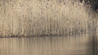 Chciał ratować swojego psa. Legenda motocrossu Eric Geboers nie żyje