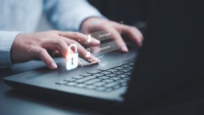 Chciał sprzedać w sieci gołębia. Stracił niemal 15 tys. zł