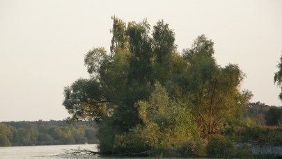 Chciał wpław przypłynąć Odrę, uciekając przed policją